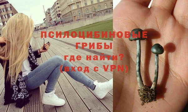 герыч Дедовск