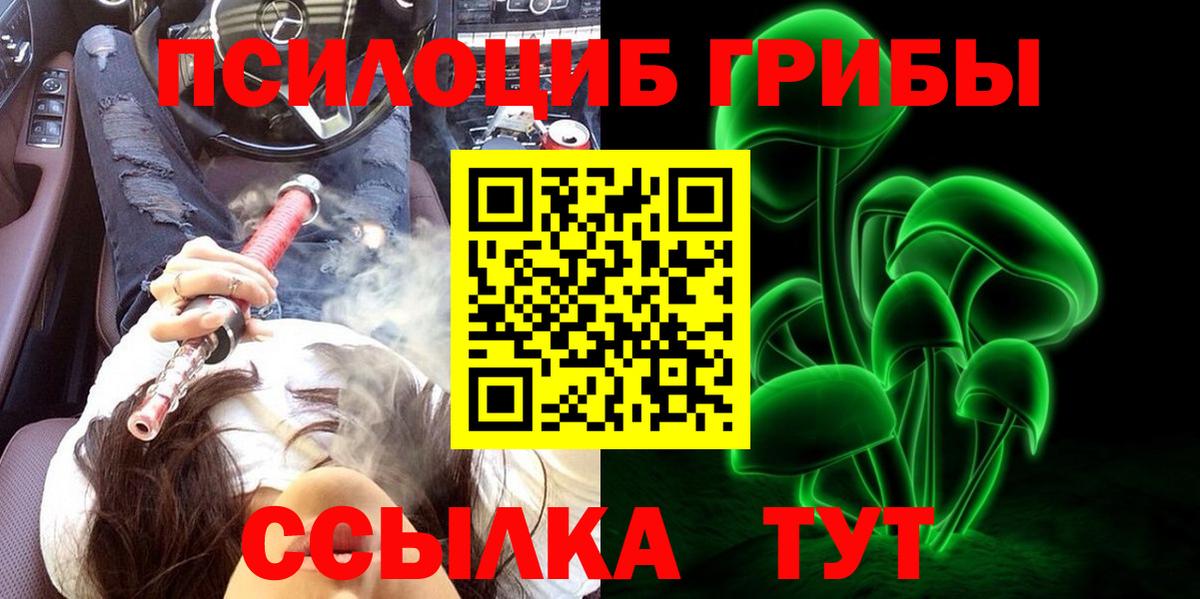 Псилоцибиновые грибы Cubensis  Вход с VPN  Асино 