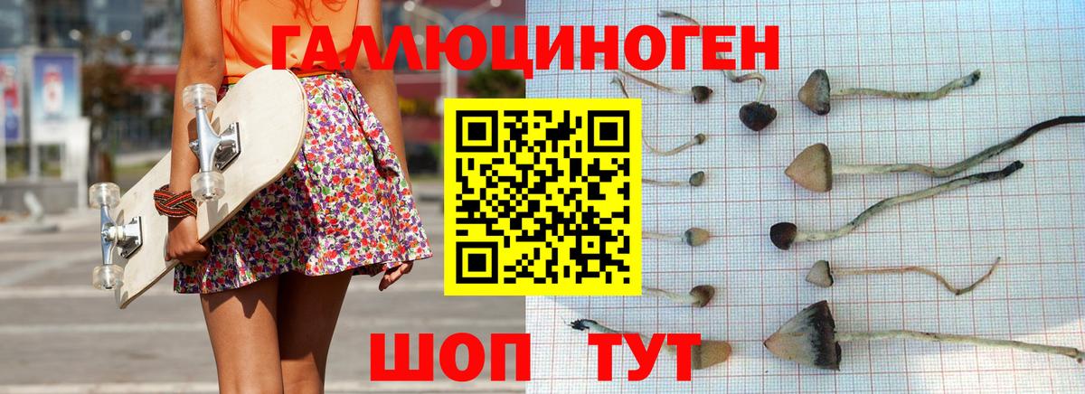 где можно купить   Псилоцибиновые грибы Psilocybine cubensis  Асино  Галлюциногенные грибы мицелий 